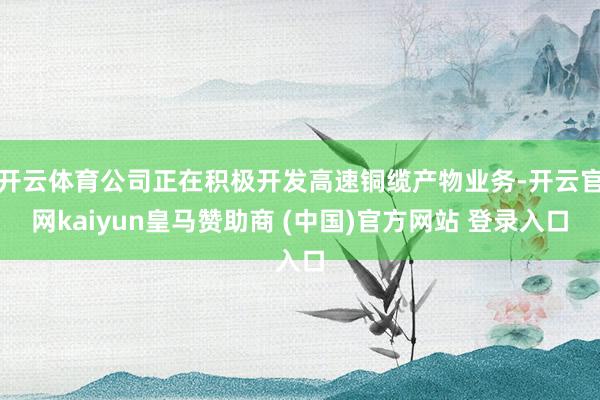 开云体育公司正在积极开发高速铜缆产物业务-开云官网kaiyun皇马赞助商 (中国)官方网站 登录入口